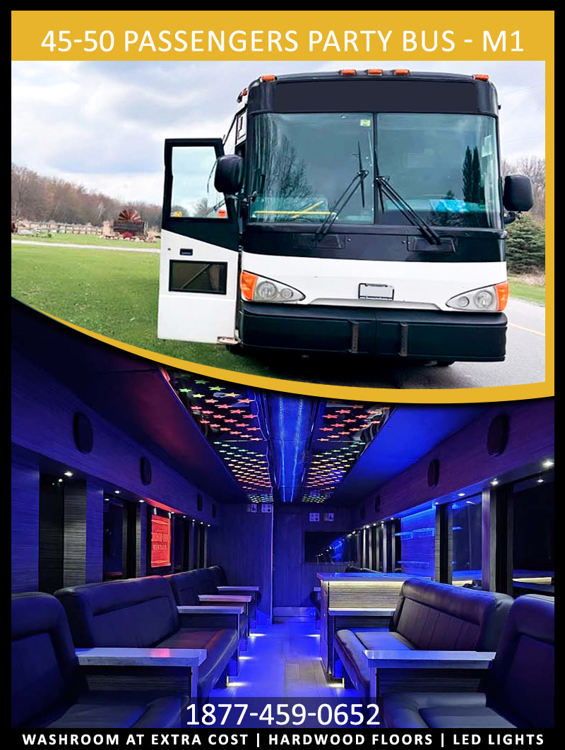 45-50 PASSENGERS PARTY BUS M1